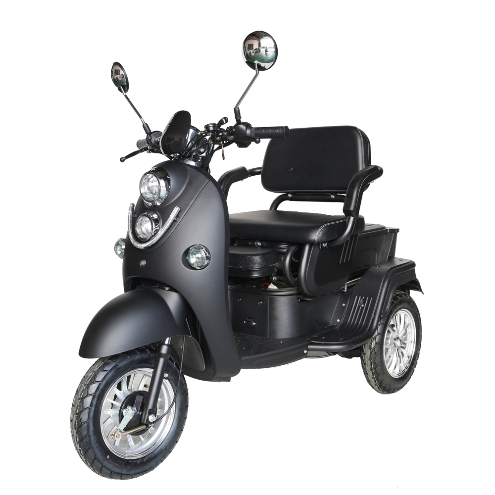 500W 48V/60V Hot Selling Electric Scooter, Electric Tricycle (TC-037)