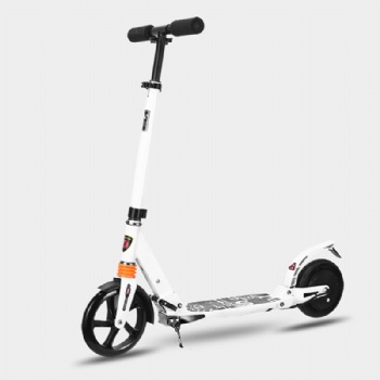 Foldable Electric Push Scooter(MES-003)