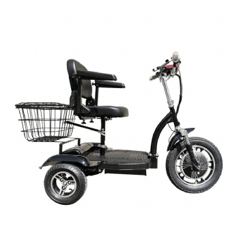 China 48V 500W Electric Scooter Electric Tricyle with Rear Basket (TC-013)