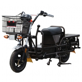 Hot Sell Long Distance Electric Motorcycle with Lithium or Lead Acid Battery Electric Scooter (EM-048)