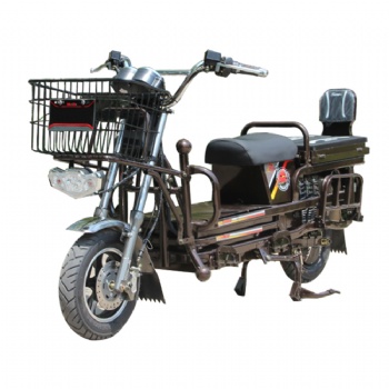 1200W Lengthen Motorcycle Electric Vehicle with Pedal (EM-049)