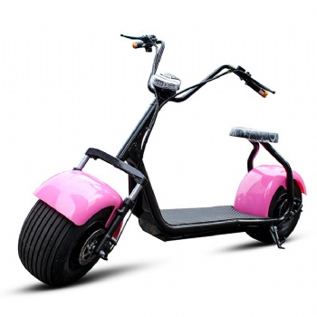 800W Lithium Battery Electric Bike with Fat Tire (MES-014)