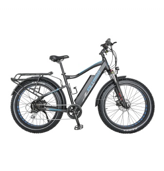 350W 48V Electric Bicycle, Fat Tire Ebike (ML-TDB04L)