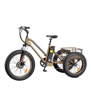 Electric Ebike with 250W Motor 36V 10.4ah Lithium Battery (ML-TDM02Z-fat)