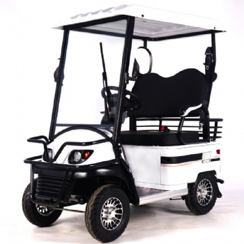Wholesale 2 Seat Mini Lifted off Road Scooter Garden Adults Street Legal Best Club Car Classic Passenger Convertible Vehicle Electric Golf Car Price for Sale