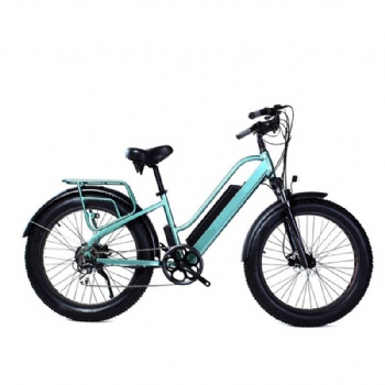 Popular Electric Bicycle with Lithium Battery, Fat Tire (ML-FB006)