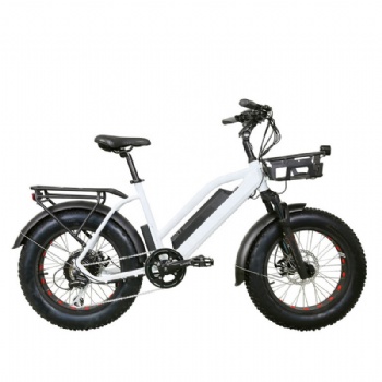 48V 500W Fat Tire Electric Bike with Lithium Battery (ML-TDN08Z-fat)