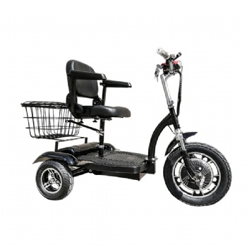 China 48V 500W Electric Scooter Electric Tricyle With Rear Basket(TC-013)