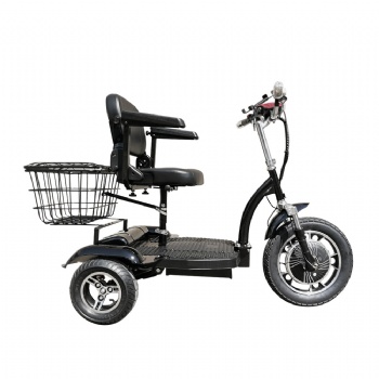 China 48V 500W Electric Scooter Electric Tricyle With Rear Basket(TC-013)