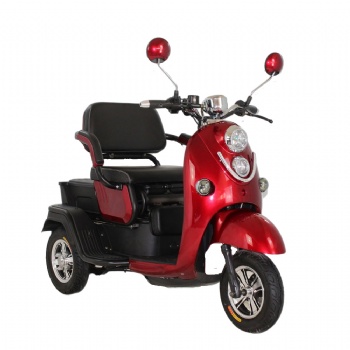 500W 48V/60V Hot Selling Electric Scooter, Electric Tricycle (TC-037)