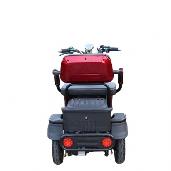 500W 48V/60V Hot Selling Electric Scooter, Electric Tricycle (TC-037)