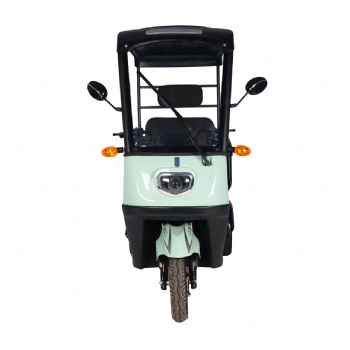 3 seater passenger EV Rickshaw electric tricycle with roof(TC-043)