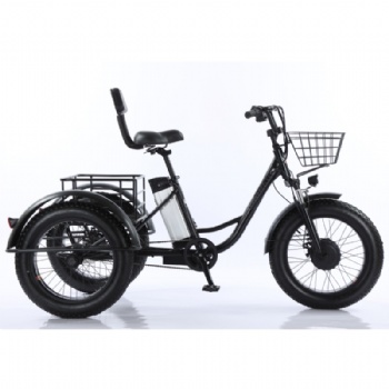 Three wheel fat tyre electric cargo tricycle for beach cruiser(ML-TR01)