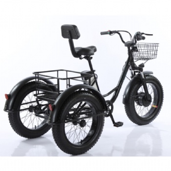 Three wheel fat tyre electric cargo tricycle for beach cruiser(ML-TR01)