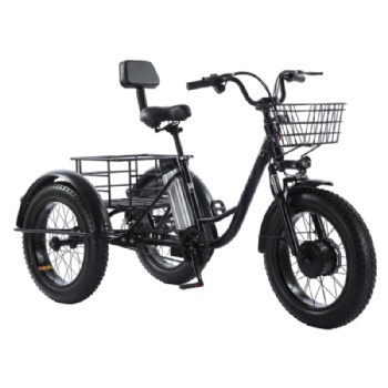 Three wheel fat tyre electric cargo tricycle for beach cruiser(ML-TR01)