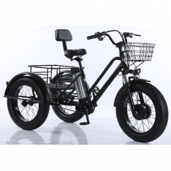 Fat tyre and bigger wheel Electric 3 wheel tricycle with front and rear basket(ML-TR04)