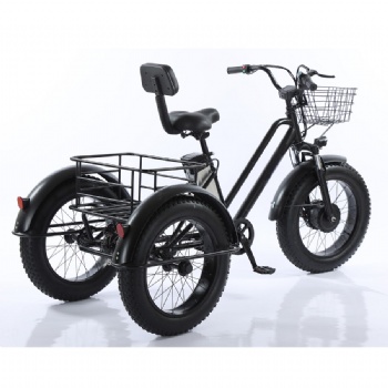 Fat tyre and bigger wheel Electric 3 wheel tricycle with front and rear basket(ML-TR04)