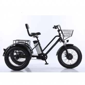 Fat tyre and bigger wheel Electric 3 wheel tricycle with front and rear basket(ML-TR04)