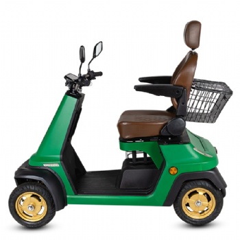 Four Wheel Electric Mobolity Scooter with Lead-Acid Battery (ES-036)