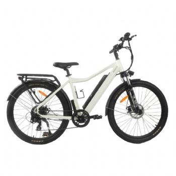 Lightweight 250W Electric Bicycle with 36V Lithium Battery (ML-TDE05Z-1)