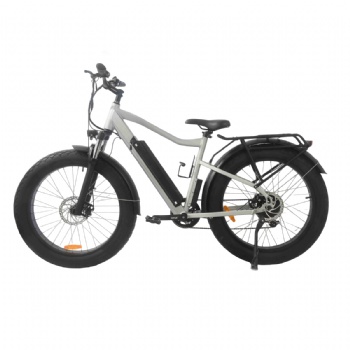 350W 48V Electric Bicycle, Fat Tire Ebike (ML-TDB04L)