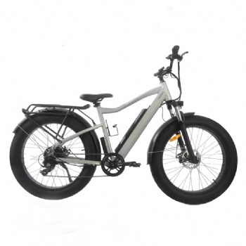 350W 48V Electric Bicycle, Fat Tire Ebike (ML-TDB04L)