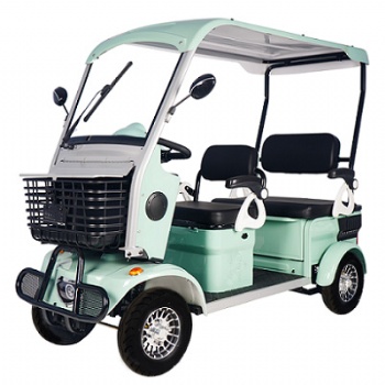 Customized Golf cart with 2 seater and roof   (ES-051)