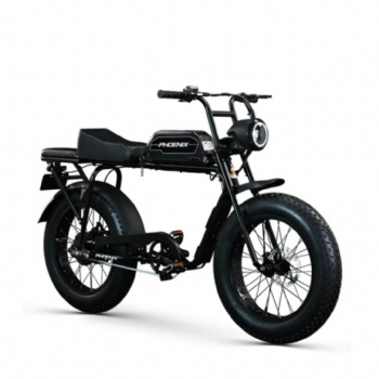 20-Inch Fat Tire Electric Motor Bike with 400W Hub Motor and 48V 13AH/18AH/25AH/32AH Lithium Battery Hydraulic Disc Brakes for City Commute (EB-007)