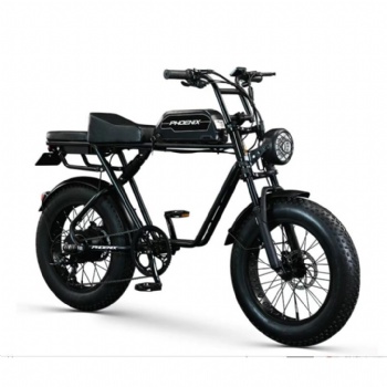 Electric City Bike 48V Urban Ebike Sport Fat Tire Fatbike Electrical Mountain Bicycle Road Ebike (EB-009)