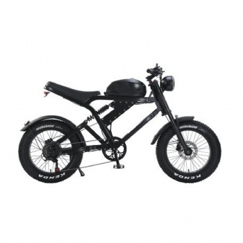 China Aok Original Fat Tire Motor Bike Fat Tire Electric Motorcycle 20inches 500W Ebike Fat Tire Electric Bicycle (EB-011)