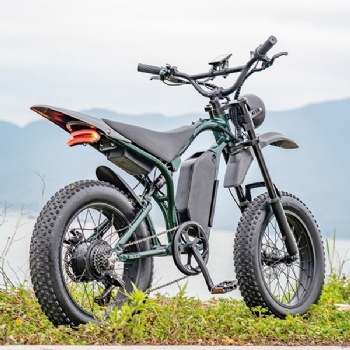 China A-ok New Designed Long Range Adult Off-road Full Suspension Electric Assist Fat Tire Mountain Bike (EB-016)